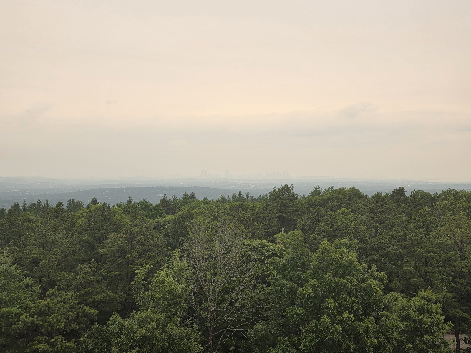 Boston's skyline nearly obscured by thick wildfire smoke haze as seen from Blue Hill Observatory on July 15, 2026