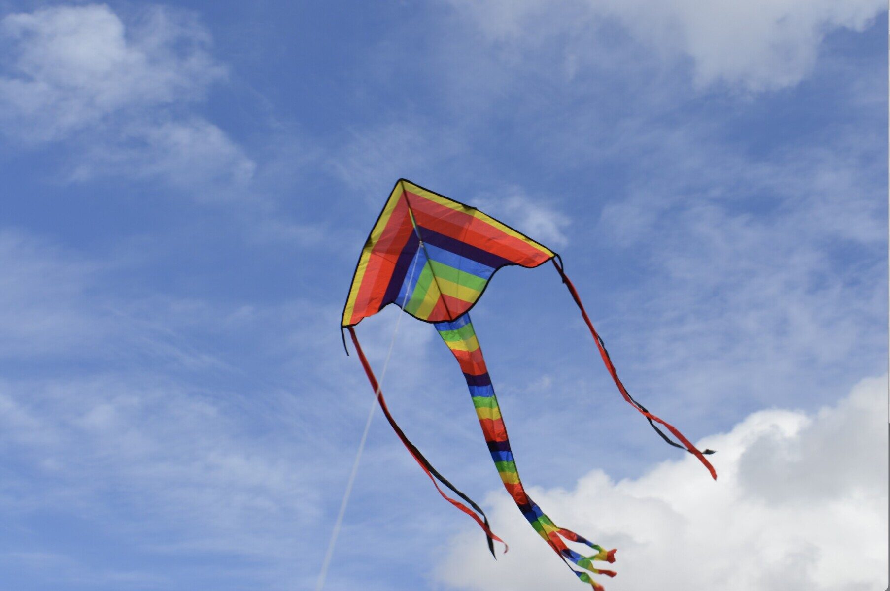 Colorful kites